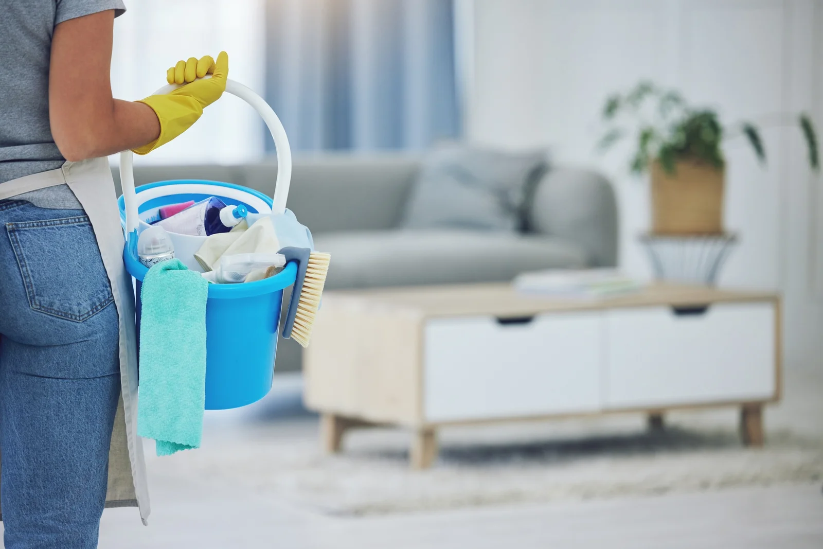 Lucky Carpet Cleaning